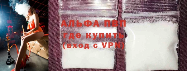 крисы Кодинск