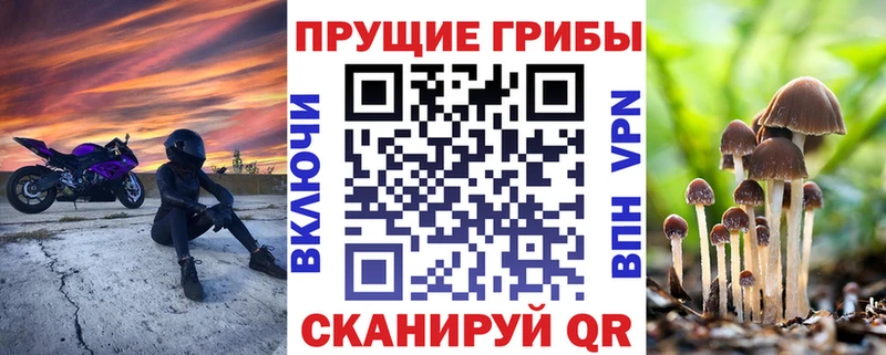 Галлюциногенные грибы Magic Shrooms  блэк спрут зеркало  Карабулак 